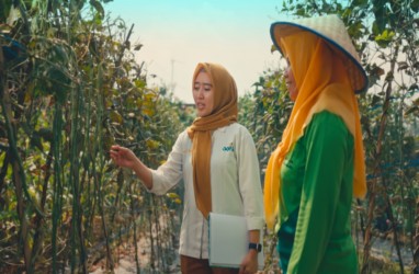 Dukung Petani Perempuan, GGF Dampingi Kelompok Wanita Tani Lampung Tengah 