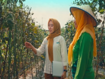 Dukung Petani Perempuan, GGF Dampingi Kelompok Wanita Tani Lampung Tengah 