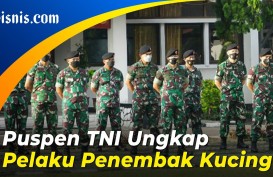 TNI Akan Proses Hukum Jendral Bintang Satu Penembak Kucing