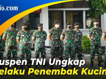 TNI Akan Proses Hukum Jendral Bintang Satu Penembak Kucing