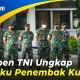 TNI Akan Proses Hukum Jendral Bintang Satu Penembak Kucing