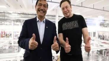 Luhut kepada Bos Tesla Elon Musk: Mau Kau Bagaimana?