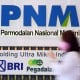 Rancangan Obligasi PNM Rp10 Triliun Peroleh Peringkat idAA