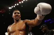 Anthony Joshua Kembali Kandas di Tangan Usyk   