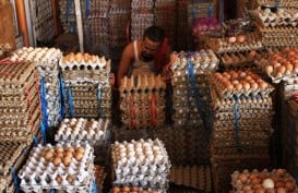 Harga Telur Ayam di Sumbar Rp30.000 per Kg, Pemprov Gandeng Japfa Gelar OP