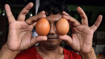 Harga Telur Ayam Melambung hingga Rp31.000/Kg, Gara-gara Bansos?