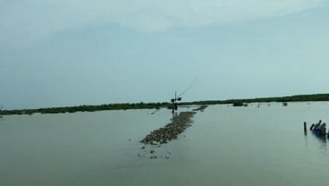 Petani Garam di Cirebon Gigit Jari, Kembali Dilanda Gagal Panen