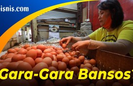 Harga Telur Ayam Melambung hingga Rp31 Ribu per Kilogram!