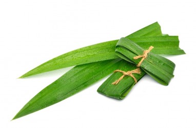 Manfaat Daun Pandan untuk Kesehatan, Jarang Diketahui Nih