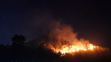 Hutan Milik Perhutani di Jawa Timur Hangus Terbakar