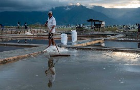 Dua Tahun Terakhir Produksi Garam di Cirebon Anjlok, Ini Biang Keroknya