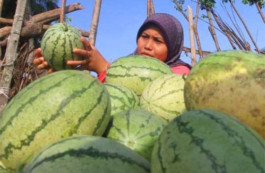 Jelajah Agri Pupuk Kaltim 2022, Potensi Besar Bisnis Perkebunan RI