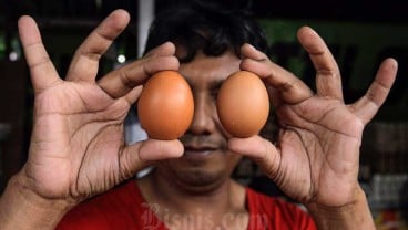 Harga Telur Naik Rp35.000 per Kg, Begini Respons Wagub DKI