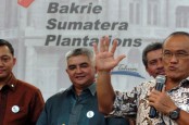 Pernah Absen 2 Tahun, Grup Bakrie DEWA, BRMS, BUMI dkk Ramaikan Emisi Saham Baru