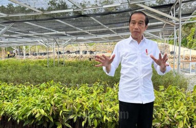 Percepatan Transformasi Digital, Ini Kata Presiden Jokowi