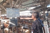 KPPU Telusuri Penyebab Harga Telur Ayam Naik, Ini Hasilnya