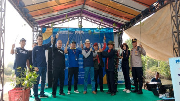 Penanaman Mangrove, Upaya PNM Melestarikan Ekosistem Hutan Bakau di Subang