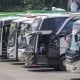 Pengusaha Bus Bakal Naikkan Tarif Jika Harga BBM Jadi Naik