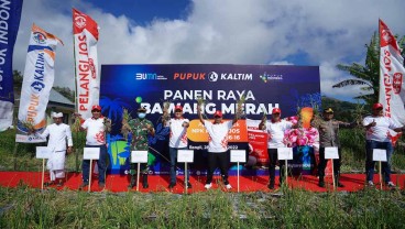 Panen Raya NPK Pelangi JOS, Produksi Bawang Merah Kintamani Naik hingga 41 Persen