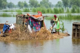 Fakta Banjir Bandang Pakistan: Penyebab, Korban Tewas…