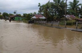 5 Wilayah di Bengkulu Terendam Banjir