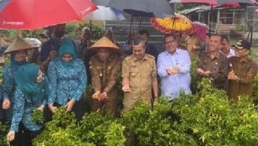 Berbagai Upaya TPID dan Pemprov Riau Stabilkan Harga Cabai Merah