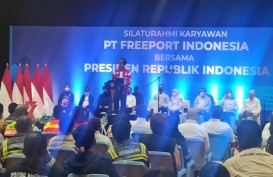 Pesan Jokowi ke Bos Freeport Indonesia, Hati-Hati...