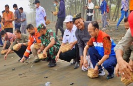 Pertamina Lepas Liar Penyu, Peringati Hari Konservasi Alam Nasional