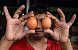 Bapanas Stabilkan Harga Telur di DKI, Bagaimana dengan Papua?