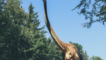 Simak 6 Nama-Nama Dinosaurus yang Mungkin Kamu Belum Tahu
