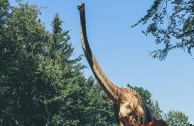Simak 6 Nama-Nama Dinosaurus yang Mungkin Kamu Belum Tahu