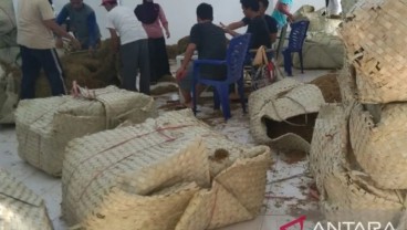 Pembelian Tembakau Pabrikan di Pamekasan, Pemkab Memantau