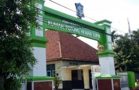 RPH Surabaya Minta Penyertaan Modal Rp2 Miliar, Legislator Mengkritisi