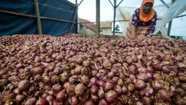 Harga Bawang Merah Ada Tren Penurunan, Hari Ini Rp36.400 per kg