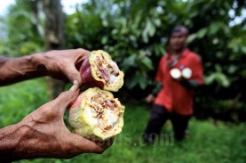 Jelajah Investasi Jabar: Ini Pilihan Investasi Sektor…