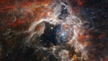 Keren! Teleskop NASA Berhasil Tangkap Gambar Nebula Tarantula