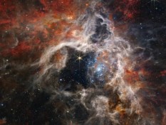 Keren! Teleskop NASA Berhasil Tangkap Gambar Nebula Tarantula