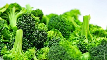 Daftar Makanan dan Minuman Kaya Zat Besi, Cegah Anemia