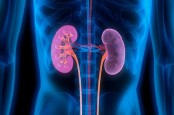 Apa Itu Penyakit Albuminuria, dan Apa Saja Gejalanya