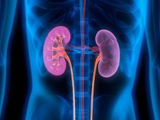 Apa Itu Penyakit Albuminuria, dan Apa Saja Gejalanya