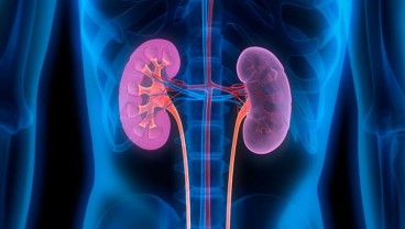 Apa Itu Penyakit Albuminuria, dan Apa Saja Gejalanya