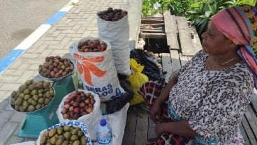 Harga Buah Matoa Khas Papua Mencapai Rp150.000/kg