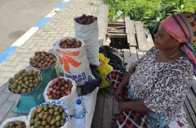 Harga Buah Matoa Khas Papua Mencapai Rp150.000/kg