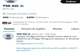 Twitter TNI AD Diretas Sejak Sebulan Lalu, Kadispen AD Beri Penjelasan