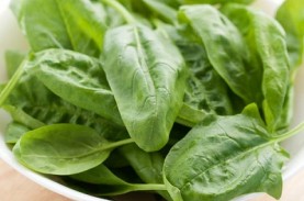 Daftar 6 Healing Food yang Sehat nan Ajaib