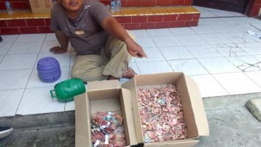 Duh! Uang Rp50 Juta di Celengan Dimakan Rayap