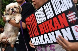 Surakarta Berencana Susun Perda Penjualan Daging Anjing