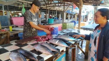 Harga Ikan Laut di Kupang Naik 20 Persen