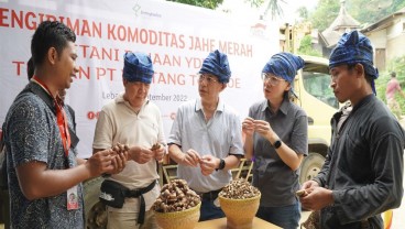 Petani Jahe Merah Binaan Astra Nikmati Kenaikan Omzet