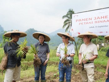 Sederet Tantangan Yayasan Astra Dongkrak Produksi Petani Jahe
